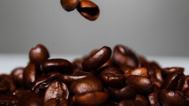 How Do Disposable Coffee Cups Help Grow Trees?