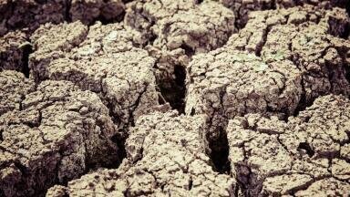 China Sets Sights on Soil Remediation by 2030