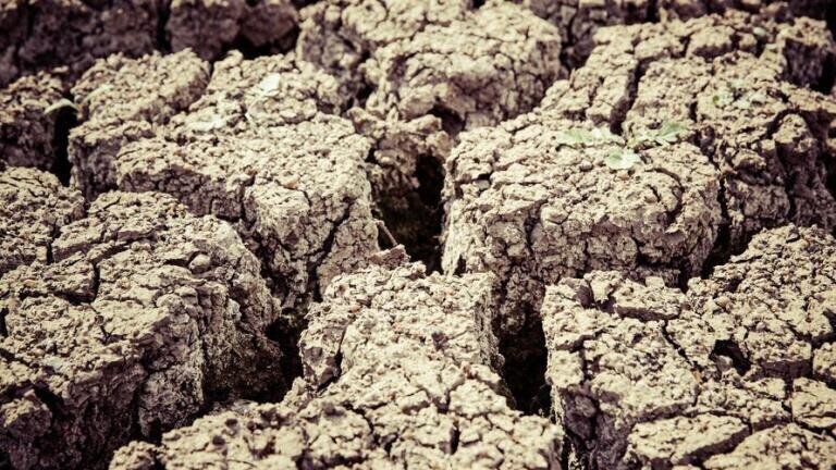 China Sets Sights on Soil Remediation by 2030