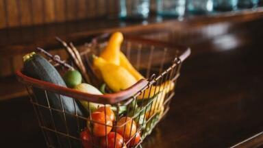 What Are Compostable Bio Bags?