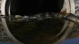 Indiana Steel Mill Reuses a Half Million Gallons of Water and Eliminates 2,050 Tons of Waste Annually