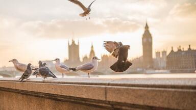 Is London Officially More Polluted than Beijing?