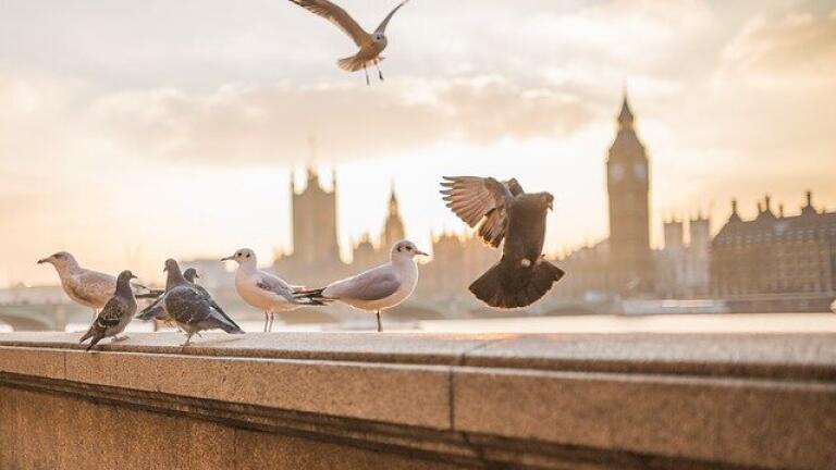 Is London Officially More Polluted than Beijing?