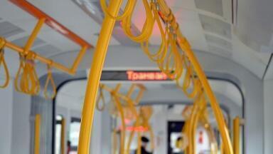 Are Free Driverless Buses the Way Forward for Reducing Pollution?