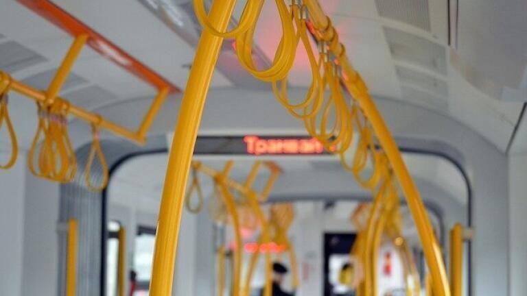 Are Free Driverless Buses the Way Forward for Reducing Pollution?