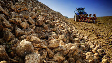 Conveying beet pulp straight from the lagoon: robust, height-adjustable immersible pump makes biogas production easier