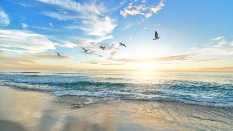 How Has Dell Helped Reduce Plastic Ocean Pollution?