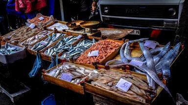 Can Water Pollution Affect the Price of Seafood?