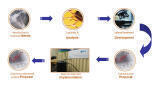 Ecological solution for wastewater treatment
