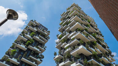 What Is a Forest City?