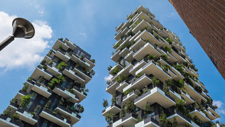 What Is a Forest City?