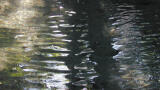 Report Finds Tiny Plastic Particles Stay Trapped on Land and in Freshwater Environments