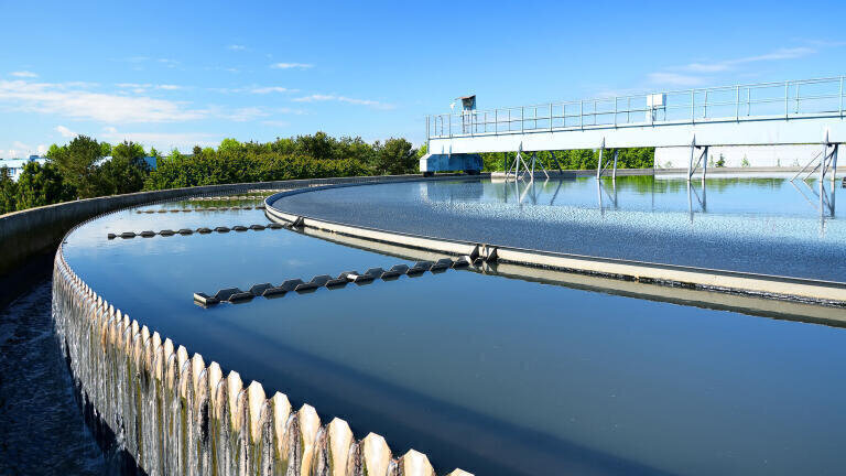 Keeping Ammonia and Nitrates in Check