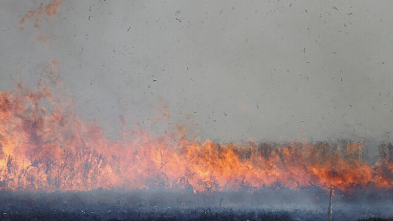 Is India to Blame for Pakistan's Pollution?