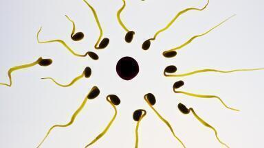 Can Pollution Cause Infertility?