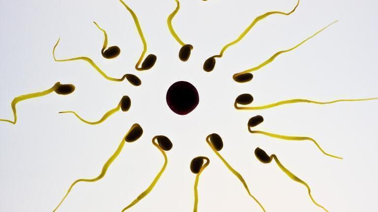 Can Pollution Cause Infertility?