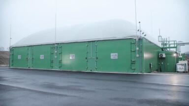 Generating Energy From Biomass