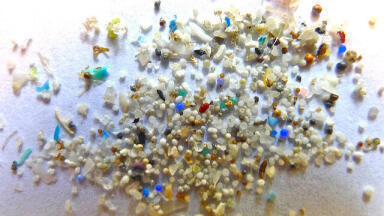 Is Microplastic Pollution Getting Worse?