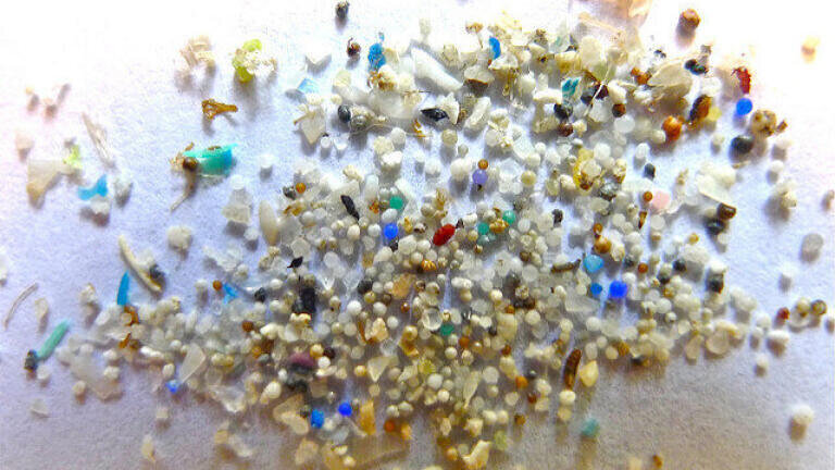 Is Microplastic Pollution Getting Worse?
