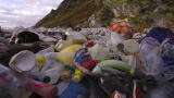 Plastic eating system could help solve recycling crisis