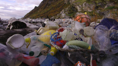 Plastic eating system could help solve recycling crisis