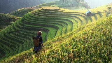 Does Pollution Affect Nutrition?