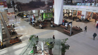 How Is Delhi Airport Using Nature to Combat Pollution?