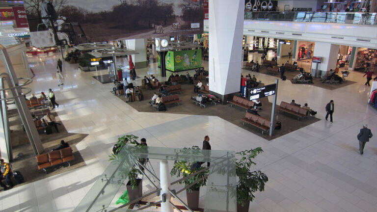 How Is Delhi Airport Using Nature to Combat Pollution?