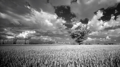 How Do Heatwaves Affect Ozone?