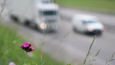 Are Low Pollution Levels Safe?