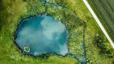 Why Are China's Lakes Turning Green?