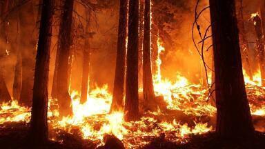 Are Wildfires Getting Worse?