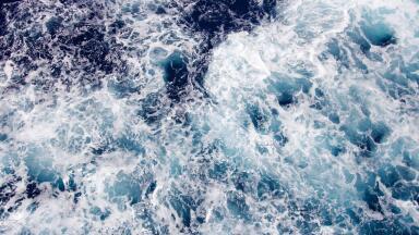 Saving our Seas – 5 Gyres Institute