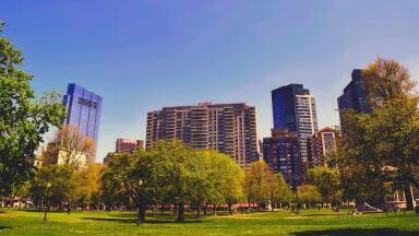 Air Pollution Solutions: What is CityTrees?