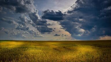 How Can Farmers Reduce Pollution?