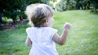 Can Pollution Really Cause Childhood Obesity?