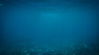 Plastic Pollution Found at the Mariana Trench