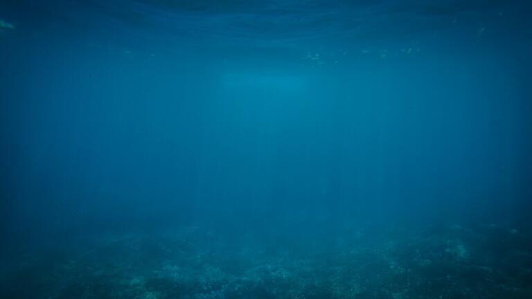 Plastic Pollution Found at the Mariana Trench