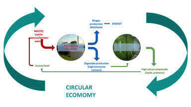 EU-funded project offers potential to meet new Clean Air strategy demands