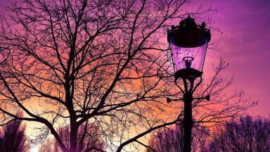 What Are Green Lamp Posts?