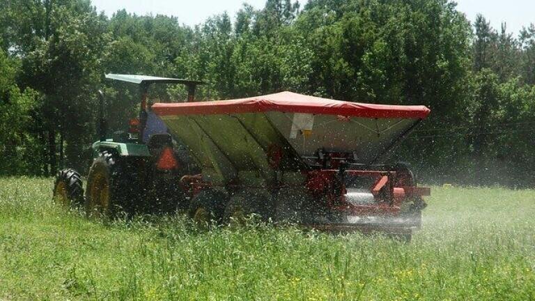 What Is Ammonia Pollution?
