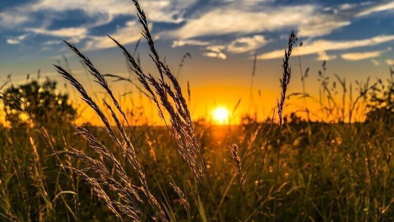 Agriculture Reduces Water Pollution Incidents