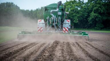 How Bad Is Ammonia Pollution in the UK?