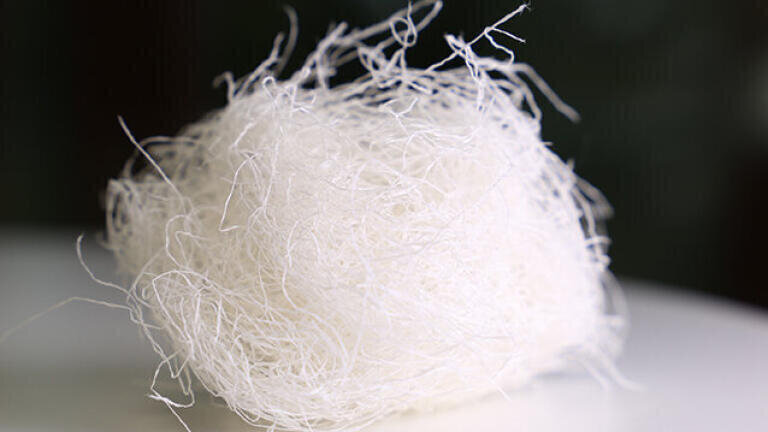 Wood-based yarn captures hormones from wastewater