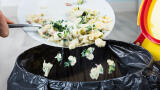 Food waste in tourism is a bigger issue than previously thought