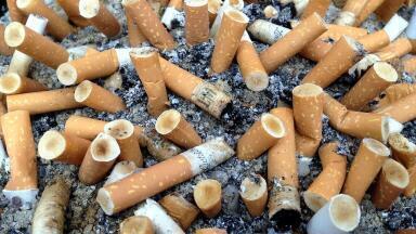 Should Cigarette Filters Be Banned?