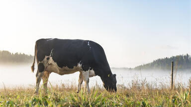 Valio is the first Finnish food company to set climate targets in line with the Paris Agreement