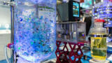 Ensuring the availability of clean water