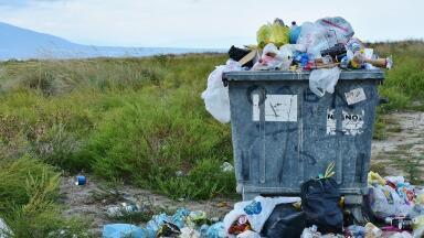 How Does Bacteria 'Eat' Plastic Pollution?