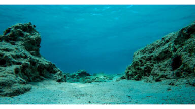 Environmental researchers from Linnaeus University map out marine pollution in the Baltic Sea